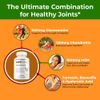 Joint Sana Capsules, Max Strength, Joint Support Supplement (3 pack)