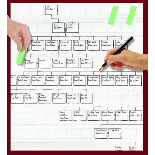 Family tree working chart (14 generations tall, 5 metres long)