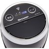 Sharp Ion Generator with Plasmacluster 25000 In-Vehicle Use Black IG-GC15-B