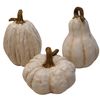 khevga Autumn Decoration Pumpkins Set (White)