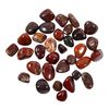 The Chrysalis Stone | Tumbled Stone | Brecciated Jasper | Size 0.75” - 1.25” | 1 Pc
