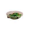Cheatwell Games Salad Tossed