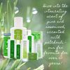 Vitabath Original Spring Green Everyday Skincare Set Moisturizing Shower Gel Wash, Reviving Lotion & Exfoliating Body Scrubber Pouf - Intoxicating Foam Cleanser & Dry Skin Hydration for Women & Men