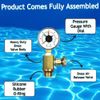 Brass Air Relief Valve Compatible with Pool Filter Systems RV40600 (98209800)