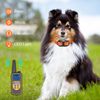 3000 FT Remote Dog Shock Training Collar Rechargeable Waterproof Pet Trainer US