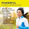 Nature's Life Turmeric Ginger Joint Ease | 100 Gelatin Capsules