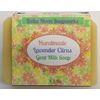 Handmade Lavender Citrus Goat Milk Soap,  Essential oils, + samples, ships fast