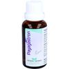 PAYAGASTRON Mischung 30 ml