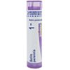 Boiron Bellis Perennis 1M for Post-Traumatic Breast Pain - 80 Pellets