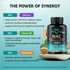 NAC Supplement | Selenium | B6 | B12 - Antioxidant Immune Support - N Acetyl ...