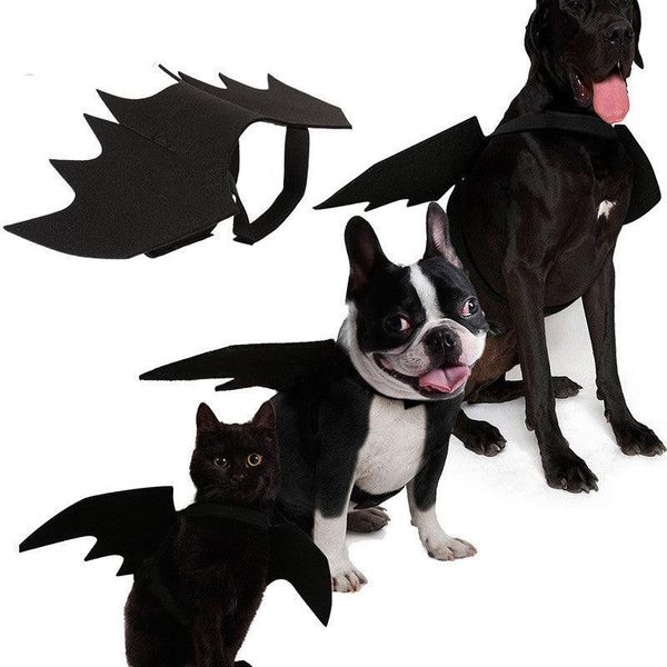 Shadow Wings Dog Costume - L / Black