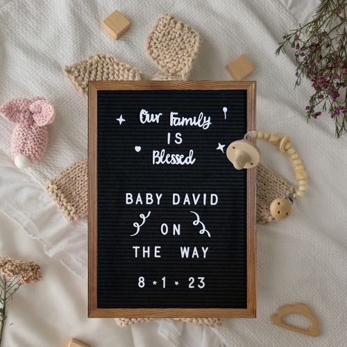 Flash Furniture Gracie Felt Letter Board with Wooden Frame, 389 PP Letters Including Numbers, Symbols and Icons, Canvas Carrying Case, 12x17, Torched Wood/Black Felt