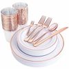 Rose Gold Plastic Dinner and Salad Plates, Cups, Silverware, New Elegant Design