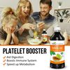 Herbal Goodness Papaya Leaf Extract Platelet Support - 15X Blood Platelet Boost, Bone Marrow & Spleen Support, Immune & Gut Health, Digestive Enzyme - Organic Kosher 16 oz Liquid Extract