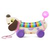 LeapFrog Wooden AlphaPup, Purple