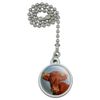 GRAPHICS & MORE Brown Cow Cattle Horns Ceiling Fan and Light Pull Chain