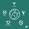 Green Beaver All Natural Organic Toothpaste, Vegan, Fluoride Free & Gluten Free Toothpaste, Zesty Orange Flavor, 75ml, 3 Pack