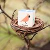 Uncle Goose Bird Blocks - Made in The USA