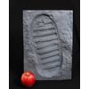 Apollo 11 Moon boot Print by SD Studios FULL SIZE! NOT A SCULPTURE!!! WHAT???!!!