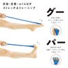 Sakurai 54159 Erugam Toes Gooper, Hard Gift, Blue