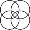 4 PC Replacement 357255 Lid O-Ring for Pentair SuperFlo Optiflow Pool/ Spa Pump