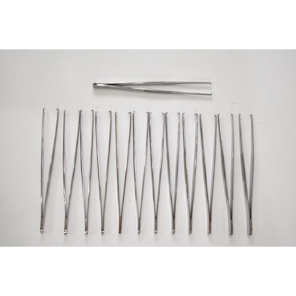 Surgical Tissue Forceps 5-1/2" Length SET of 12 + 1 FREE Total of 13 PCS