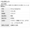 Bergamot 20ml Incent Essential Oil Essential Oil