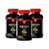 Natural Adaptogens - ADAPTOGEN COMPLEX - Endurance Support 3 Bottles