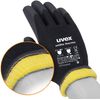 Uvex Unilite Thermo Plus Unisex 10 Winter Gloves, Black