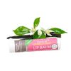 Soothing Touch Vegan Lip Balm - Coconut Lavender, Coconut Lime, Vanilla Rose, Vanilla Chai - Variety Pack of 4