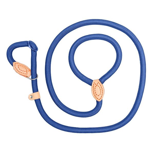 Dog Leashes for Car Ramp Blue 04