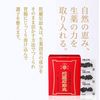 【第3類医薬品】陀羅尼助丸 分包 27包
