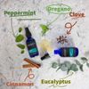 Bronchia Guard — Throat + Lung Spray