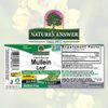 Nature's Answer Alcohol-Free Mullein Leaf 1oz Extract | Herbal Supplement | Supports Respiratory Function & Mucous Membranes | Non-GMO, Kosher, Gluten-Free | Single Count