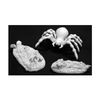 Reaper Giant Spider and Victims