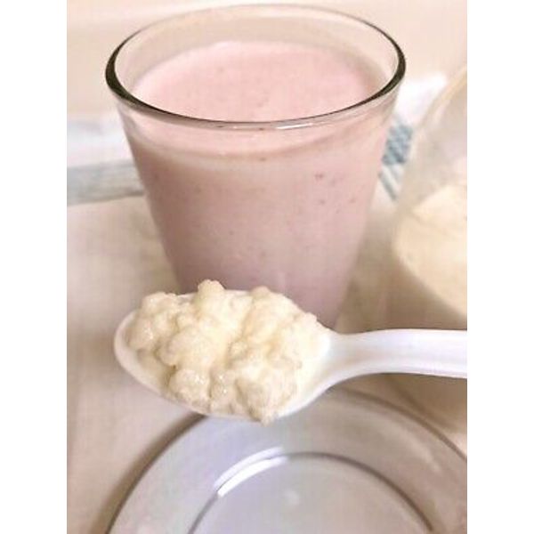 Whole Milk Kefir Grains Live Active Strong Probiotic 1 tsp