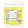 Electrolyte Powder Mix, Lemonade, 14.9 oz (423 g)