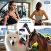 soft laser therapy Cold Laser Therapy LLLT Device treatment for sciatica 880mW