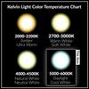 [6 Pack] LED Candelabra B11 C37 Bulbs 7W 60W Replacement 120V E12 5000K Daylight