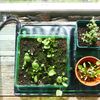 Gro-Sure Heated Propagation Mat,Black