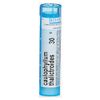 Caulophyllum Thalictroides 30C - Homeopathic Medicine for Menstrual Cramps (80 Pellets)