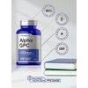 Alpha GPC 600mg | 120 Capsules | Vegetarian, Non-GMO & Gluten Free Choline Supplement | Supports Healthy Memory, Focus and Clarity | by Horbaach