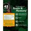 Herb Pharm Organic Nootropic Brain & Memory Supplement with Ginkgo Biloba Liquid Extract: Fast Absorption for Mental Focus Support, Ginkgo Supplement, Vegan, Gluten-Free, Non-GMO, 1 Oz