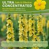 1 PACK Mullein Drops for Lungs, Detox and Cleanse Mullein Extract Supplement