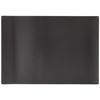 TRUSCO MNC-A5A Magnetic Soft Card Case, A5, Glossy