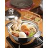 IH Compatible Earthenware Pot Style Stainless Steel Pot Fall Colors
