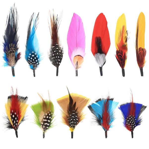 Hat Feathers, 12 Pcs Natural Feathers, Mixed Assorted Cowboy Hats Feathers, Crafts Feathers for Men Hats, Western Cowboy Hats, Fedoras, DIY Centerpieces Crafts Dream Catcher Decorations