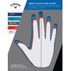 Callaway Golf Fusion Golf Glove 2024, White