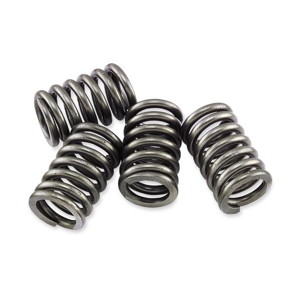 EBC Brakes CSK Clutch Spring Kit