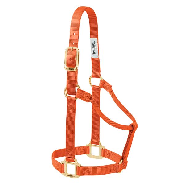 Weaver Leather Original Non-Adjustable Nylon Horse Halter, Small, Orange